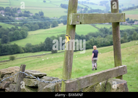 Eine Frau, die zu Fuß durch ein Feld nach Überfahren einen Stil Stockfoto