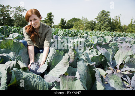 Frau Kommissionierung Kohl in Feld Stockfoto