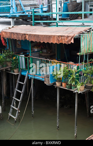 Häuser auf Stelzen, Tai O-Dorf, Lantau Island, Hongkong, China Stockfoto