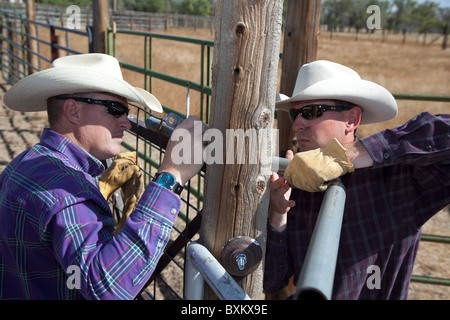 Rancher reparieren Tor auf Rinder Rutsche auf Rinderfarm Stockfoto