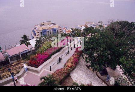 Santa Anna. Guayaquil. Ecuador. Süd-Amerika. Blick auf einige der Schritte an die Spitze des Hügels, mit dem Fluss Guayas. Stockfoto