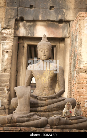 Crab-Eating Makaken (Macaca Fascicularis) Affen entdeckt, um den alten Tempel Phra Prang Sam Yot Stockfoto