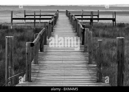 Schwarze und weiße Boardwalk in Catalina Bay, Südafrika. Stimmungsvolle Landschaft Stockfoto