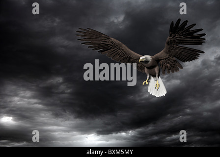 Adler fliegen in einer stürmischen Himmel Stockfoto