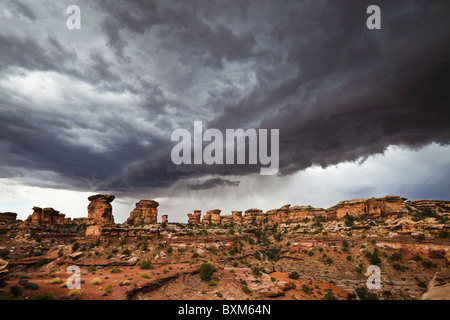 Bedrohliche Gewitterwolken über die Nadeln Bezirk des Canyonlands National Park, Utah, USA. Stockfoto