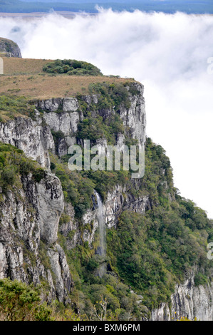 Wolken fegen in Fortaleza Canyon in den frühen Morgenstunden, Cambara do Sul, Rio Grande do Sul, Brasilien Stockfoto