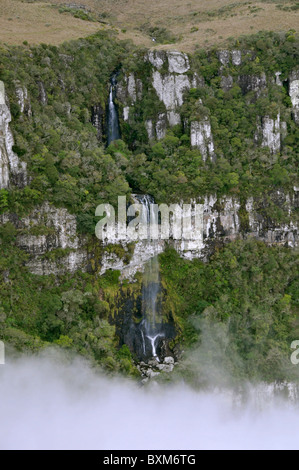 Wolken fegen in Fortaleza Canyon in den frühen Morgenstunden, Cambara do Sul, Rio Grande do Sul, Brasilien Stockfoto