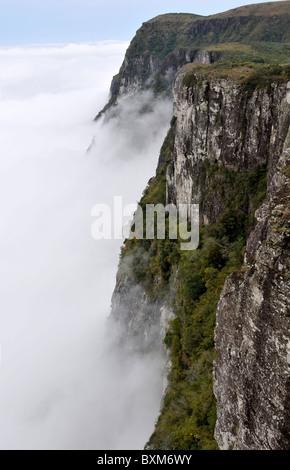 Wolken fegen in Fortaleza Canyon in den frühen Morgenstunden, Cambara do Sul, Rio Grande do Sul, Brasilien Stockfoto