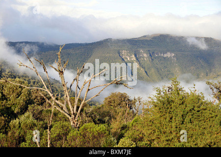 Wolken fließen in São Joaquim National Park, Morro da Pedra Furada, Santa Catarina, Brasilien Stockfoto