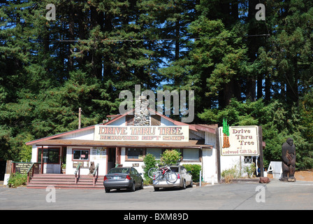 Außenseite des Drive Thru Baum Redwood Geschenkeladen in der Nähe von Redwood National Park im Northern California Stockfoto