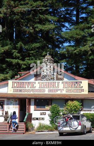 Außenseite des Drive Thru Baum Redwood Geschenkeladen in der Nähe von Redwood National Park im Northern California Stockfoto