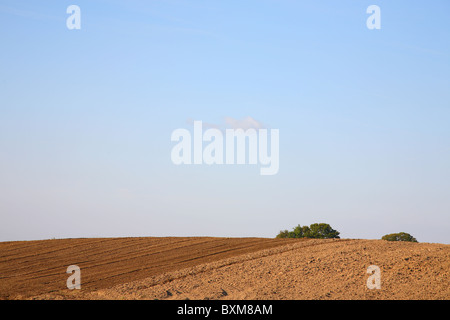 Braune Erde in gepflügten und gesäten Feld im Herbst vor einem blauen Himmel mit lila Wolken Stockfoto