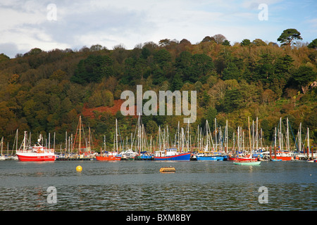 Sortierte Angelboote/Fischerboote und Yachten ankern in Kingswear Marina und angesehen von Dartmouth, Devon, England, UK Stockfoto