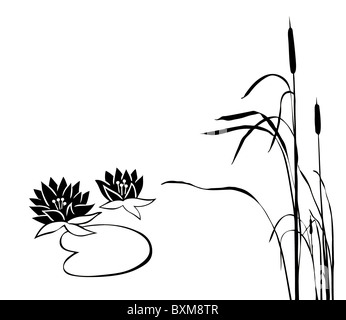 Vektor-Silhouette der Sumpfpflanzen auf weißem Hintergrund Stockfoto