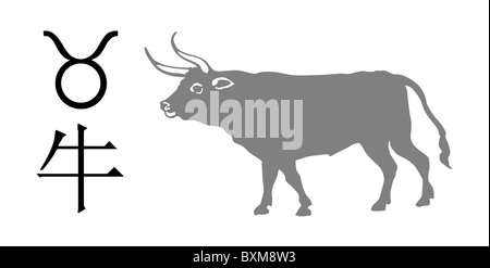 Vektor-Illustration von den Zeichen des Tierkreises Stockfoto