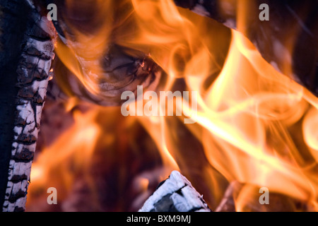 Brennende Wälder in Kamin in Nahaufnahme Stockfoto