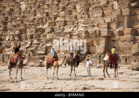 Kamele und ihre Halter vor große Pyramide. Stockfoto