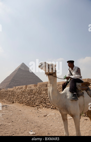 Ägyptische Touristenpolizei ruhen auf Kamel zurück in Gizeh. Pyramide von Khafre im Hintergrund. Stockfoto