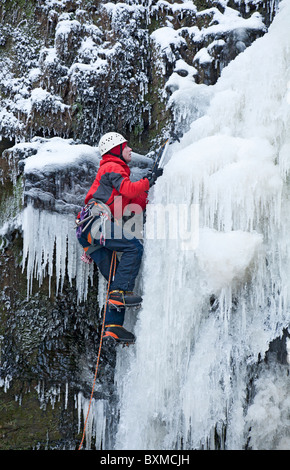 Ein Mann engagiert auf eine Eisklettern auf einem gefrorenen Wasserfall (Lynn verliebt sich in Lynn Glen) außerhalb Dalry in North Ayrshire, Schottland, Vereinigtes Königreich. Stockfoto