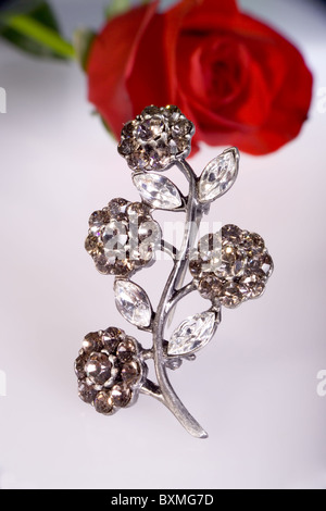 Silber Brosche mit unscharfen Rosen im Hintergrund Stockfoto
