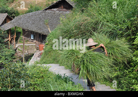 Chinesische Person auf dem Weg zur Arbeit auf die Longji Reisterrassen, Südchina Stockfoto