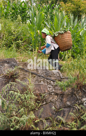 Chinesische Person auf dem Weg zur Arbeit auf die Longji Reisterrassen, Südchina Stockfoto