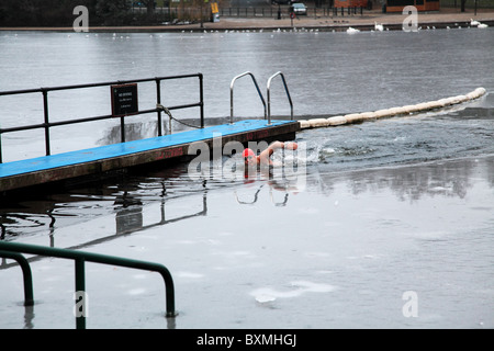 Ein einsamer Schwimmer. Am Weihnachtstag 2010 an der Serpentine Schwimmverein in Hyde Park, London. Stockfoto