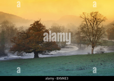 Frostiger nebligen Morgen im November durch die Horseshoe Falls River Dee Llangollen Stockfoto