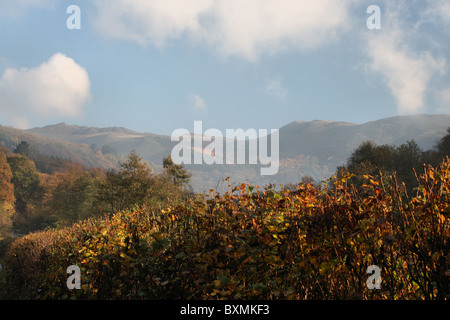 Herbst Neblige Sicht des Berwyn Schiefer-Steinbruch auf Llantysilio und Maesyrychen Berg, Llangollen Stockfoto