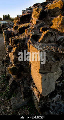 die Ruinen der Bordesley Abbey Redditch Worcestershire Midlands uk Stockfoto