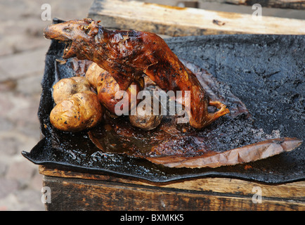 Gebratenes Meerschweinchen mit Kartoffeln, eine peruanische Delikatesse. Stockfoto