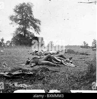 Gettysburg, Pennsylvania. [Dead Confederate gesammelt für die Beerdigung, 5. Juli 1863 Stockfoto