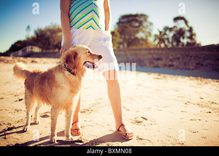 Golden Retriever stehend durch die Beine einer Frau am Strand Stockfoto