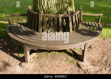 eine Bank in einem Landschaftsgarten Stockfoto