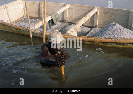 Mann, die Gewinnung von Salz aus dem See. LAC ROSE (Retba) Region Dakar SENEGAL Stockfoto