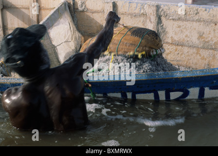 Mann, die Gewinnung von Salz aus dem See. LAC ROSE (Retba) Region Dakar SENEGAL Stockfoto