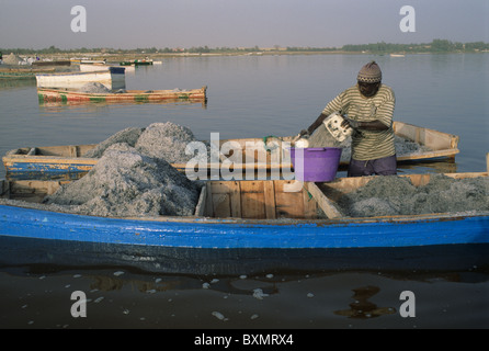 Gewinnung von Salz aus dem See. LAC ROSE (Retba) Region Dakar SENEGAL Stockfoto