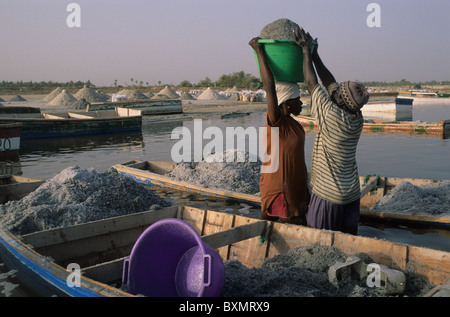 Gewinnung von Salz aus dem See. LAC ROSE (Retba) Region Dakar SENEGAL Stockfoto