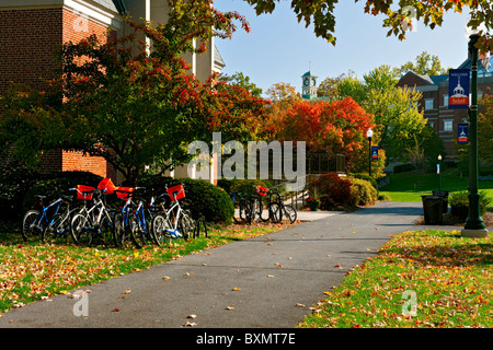 Einem ruhigen Herbstmorgen auf dem Campus der Bucknell University in Lewisburg, Pennsylvania. Stockfoto