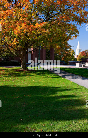 Die Rooke Kapelle umrahmt von Herbst Farbe auf dem Campus der Bucknell University in Lewisburg, Pennsylvania. Stockfoto