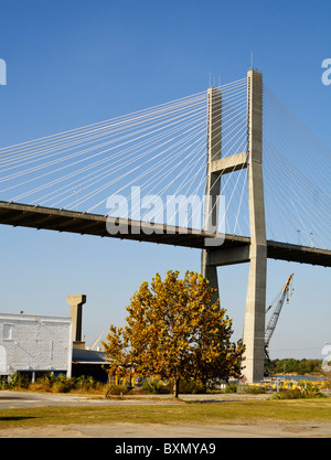 Eugene Talmadge Memorial Schrägseilbrücke Südseite Haupt-Pier in Savannah, GA, USA. Im November 1990 abgeschlossen. Stockfoto