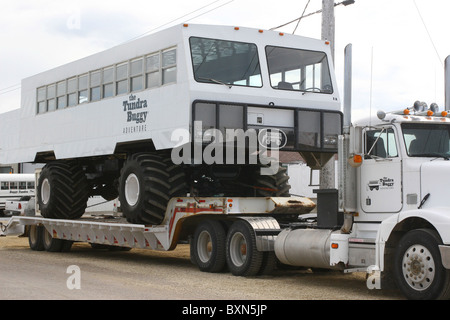 Tundra Buggy in für Reparatur und wird auf einem großen LKW geschleppt. Stockfoto