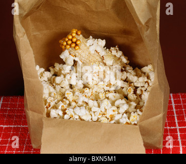 POPCORN, PERLE ART (ZEA MAYS EVERTA) / STUDIO Stockfoto