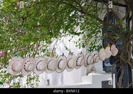 Eine Reihe von traditionellen Panamahüte hängt attraktiv auf einer Linie, um Käufer in Panama-Stadt zu gewinnen. Stockfoto