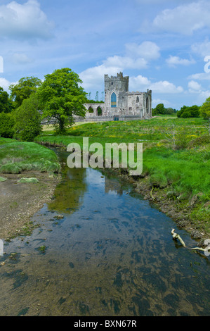 Tintern Abbey des 12. Jahrhunderts, ehemals eine Zisterzienser-Abtei in County Wexford von Earl of Pembroke erbaut 1200, Irland Stockfoto