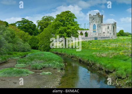 Tintern Abbey des 12. Jahrhunderts, ehemals eine Zisterzienser-Abtei in County Wexford von Earl of Pembroke erbaut 1200, Irland Stockfoto