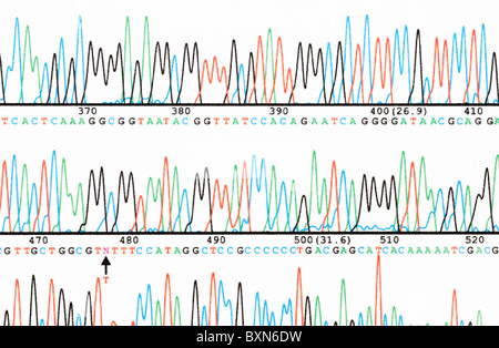 DNA-Sequenzierung. Teil eines DNA-Basensequenz lesen durch einen automatisierten Sequencer erzeugt. Stockfoto