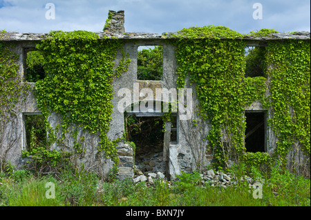 Aufgegeben, verfallenes Haus renovierungsbedürftig, bedeckt mit Efeu und andere Kletterpflanzen in Co. Wexford, Irland Stockfoto