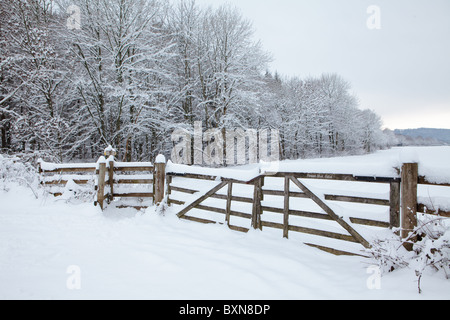 Altes Land Tore im Schnee in Exmoor South West England abgedeckt Stockfoto