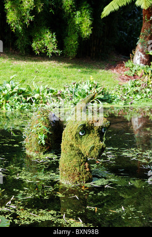 Ein "Monster von Loch Ness" Wasserspiel Trebah Gardens in der Nähe von Falmouth in Cornwall, Großbritannien Stockfoto